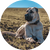 Kangal